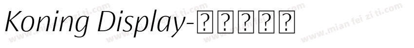 Koning Display字体转换
